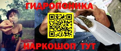 винт Партизанск