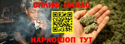 винт Партизанск