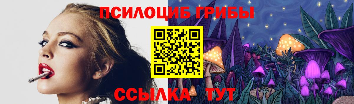 Галлюциногенные грибы MAGIC MUSHROOMS  Галлюциногенные грибы Psilocybine cubensis  Вход с VPN  Россошь 
